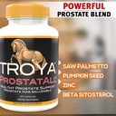 troya-supplement-saw-palmetto-zinc-sting-3.jpg