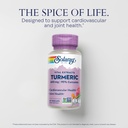 solaray-turmeric-supplement-600mg-turmer-3.jpg