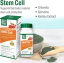 bell-stem-cell-supplements---supports-yo-3.jpg