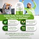 dandelion-milk-thistle-artichoke-burdock-5.jpg