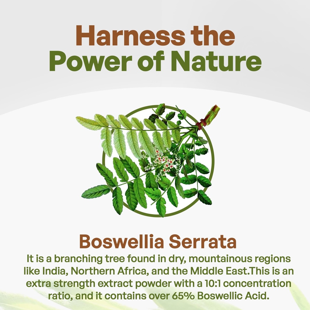 go-nutra-boswellia-serrata-extract-powde-3.jpg