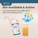 scd-essential-probiotics-for-women-men-k-4.jpg