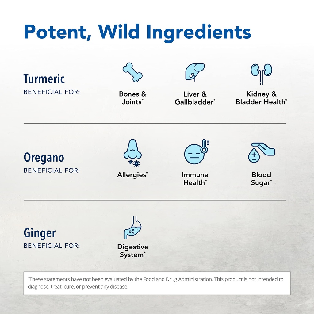 north-american-herb-spice-turmeric-power-3.jpg