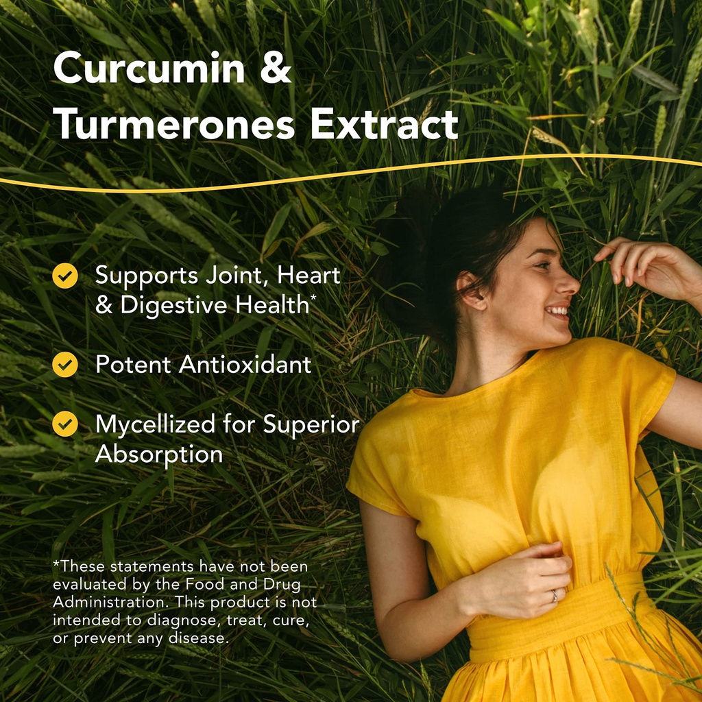 north-american-herb-spice-turmeric-power-2.jpg
