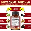 tribulus-terrestris-capsules-with-ashwag-6.jpg