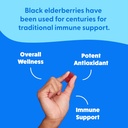 elderberry-gummies-with-zinc-vitamin-c-f-3.jpg