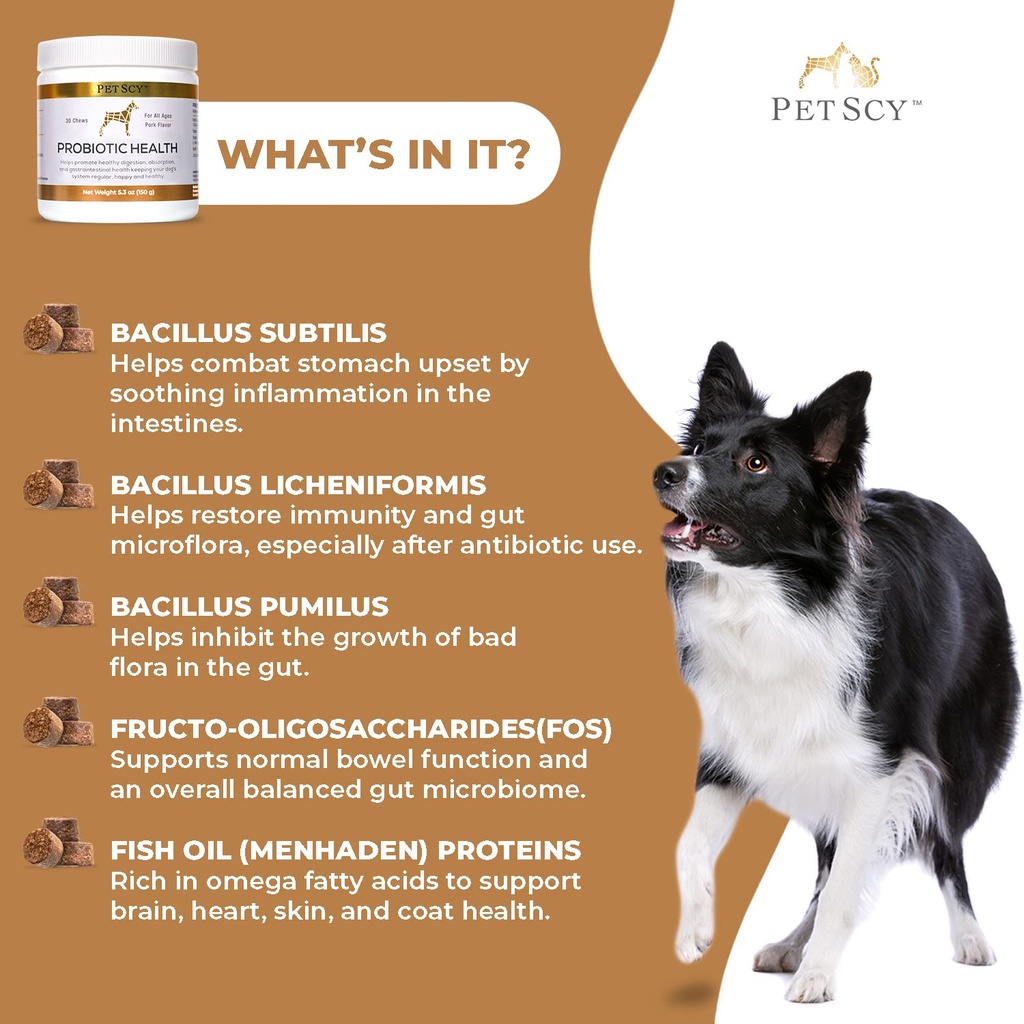 petscy-probiotic-chews-for-dogs-probioti-4.jpg