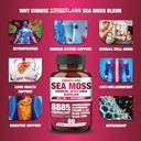 all-in-1-8885mg-highest-potency-sea-moss-2.jpg
