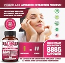 all-in-1-8885mg-highest-potency-sea-moss-6.jpg