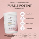 alaya-multi-collagen-powder-type-i-ii-ii-2.jpg