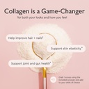 alaya-multi-collagen-powder-type-i-ii-ii-6.jpg