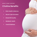 prenatal-choline-supplements-550mg-120-c-3.jpg