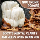 xprs-nutra-organic-lions-mane-mushroom-p-4.jpg