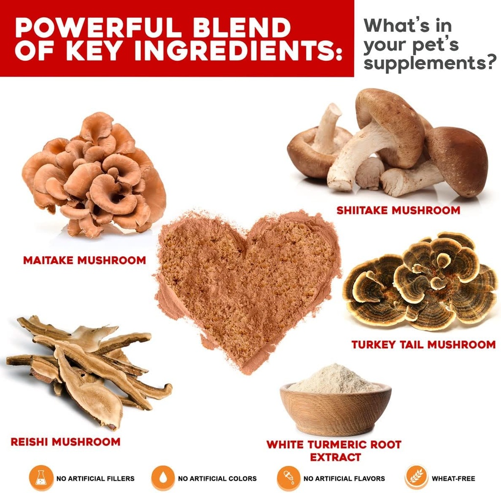 turkey-tail-mushroom-for-dogs-immune-sup-2.jpg