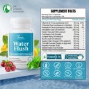 dr-vitamin-nighttime-fat-burner-suppleme-6.jpg