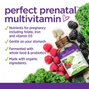 new-chapter-organic-perfect-prenatal-192-5.jpg