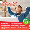 vitamin-b2-gummies-riboflavin-400mg-with-5.jpg