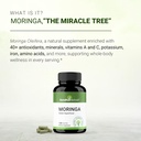pure-moringa-capsules-for-women-men-120--3.jpg