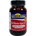 red-marine-algae-500-gigartina-dumontace-5.jpg