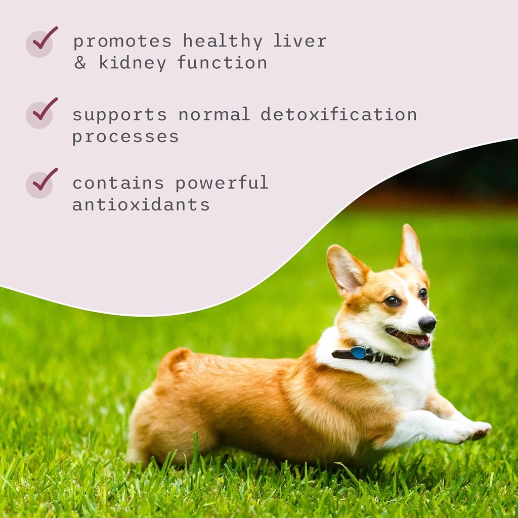 bark-whiskers-detox-support---helps-supp-5.jpg