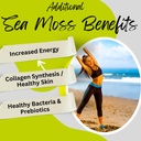 organic-irish-sea-moss-capsules-raw-wild-3.jpg
