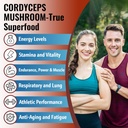 cordyceps-mushroom-capsules---immune-ene-2.jpg