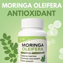 arymar-moringa-oleifera-630mg---60-capsu-2.jpg