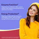 doctor-s-recipes-magnesium-glycinate-sup-4.jpg