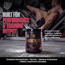 hosstile-hosstility-v2-pre-workout-powde-5.jpg