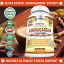 fresh-healthcare-ashwagandha-capsules-ks-2.jpg
