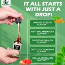 moringa-drops-organic-moringa-leaf-extra-2.jpg