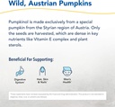 north-american-herb-and-spice-pumpkinol--3.jpg