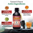 life-cykel-cordyceps-lion-s-mane-extract-3.jpg