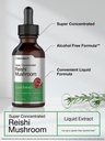 horb-ach-reishi-mushroom-extract-tinctur-3.jpg