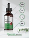 horb-ach-reishi-mushroom-extract-tinctur-5.jpg