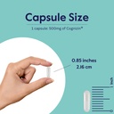 bestvite-cognizin-citicoline-500mg-120-v-5.jpg