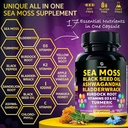 sea-moss-capsules-17-in-1-blend-with-bla-2.jpg