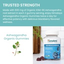 himalaya-ashwagandha-organic-gummies-ksm-6.jpg