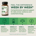 cortisol-reducer-for-women-rhodiola-rose-6.jpg