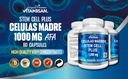 vitamisan-celulas-madres-60-capsules-100-5.jpg