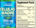 celulas-madres-stem-cell-support-plant-b-3.jpg