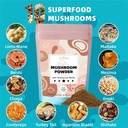 10-mushrooms-powder-mushroom-supplement--3.jpg