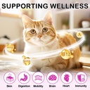 15-in-1-multivitamin-for-cats-kittens-ch-3.jpg