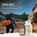 jiva-botanicals-shilajit-capsules-700-mg-5.jpg