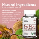 atlantic-naturals-sea-moss-gummies-with--6.jpg
