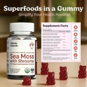 atlantic-naturals-sea-moss-gummies-with--3.jpg
