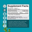 vitamin-b3-niacinamide-500mg-capsules----2.jpg