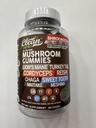 15in1-mushroom-gummies-with-lions-mane-t-6.jpg