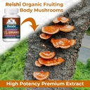 cancer-sciences-reishi-wellness-mushroom-5.jpg