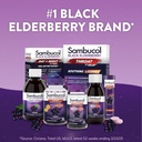 sambucol-black-elderberry-syrup-original-5.jpg